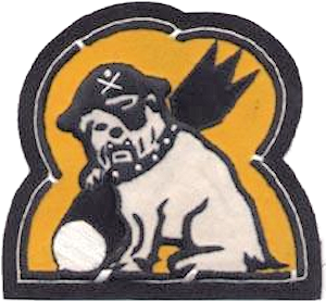Emblem of the 494th Bombardment Squadron