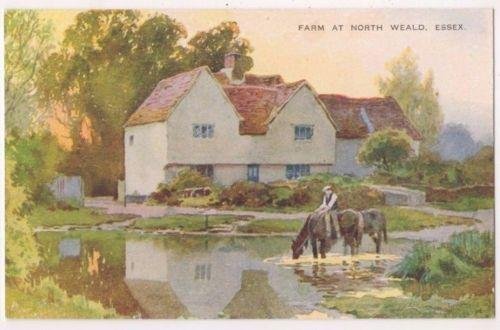 Farm at North Weald. From a watercolour by E.W.H.