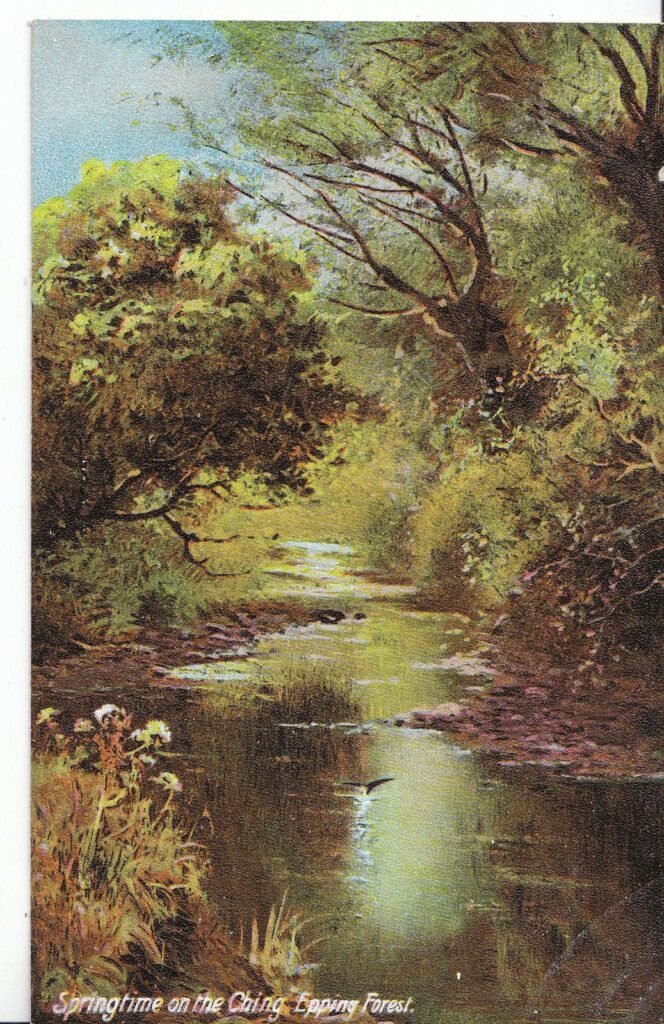 Springtime on the Ching, Epping Forest