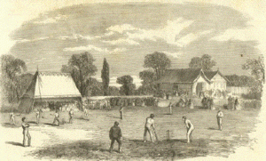 Cricket at Navestock