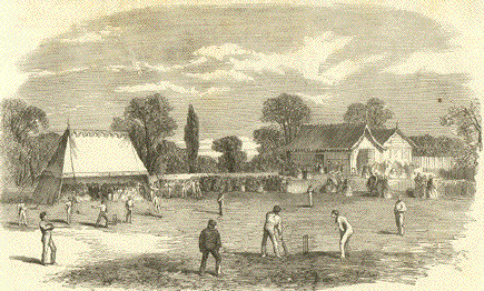 Cricket at Navestock