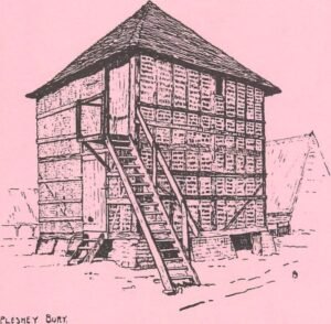 Never Mind the Dovecotes – Pleshey Bury