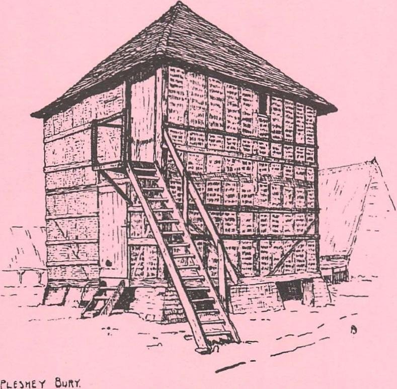 Never Mind the Dovecotes – Pleshey Bury