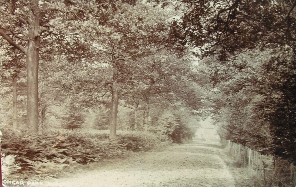 Ongar Park Wood