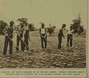 German prisoners probably from the POW camp in Mill Lane, Hatfield Heath,