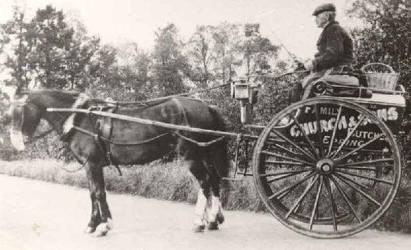 Church and Sons, Butchers of Epping – Delivery Cart c1900