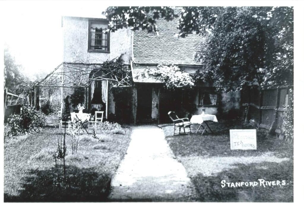 Stanford Rivers
