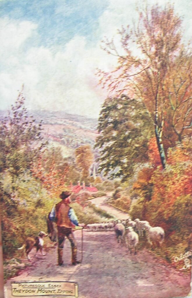 Theydon Mount, Epping