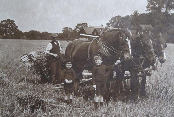 Believed to have been taken at Navestock. Probably taken at the turn of the century