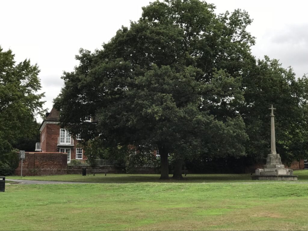 Spriggs Oak, 2018