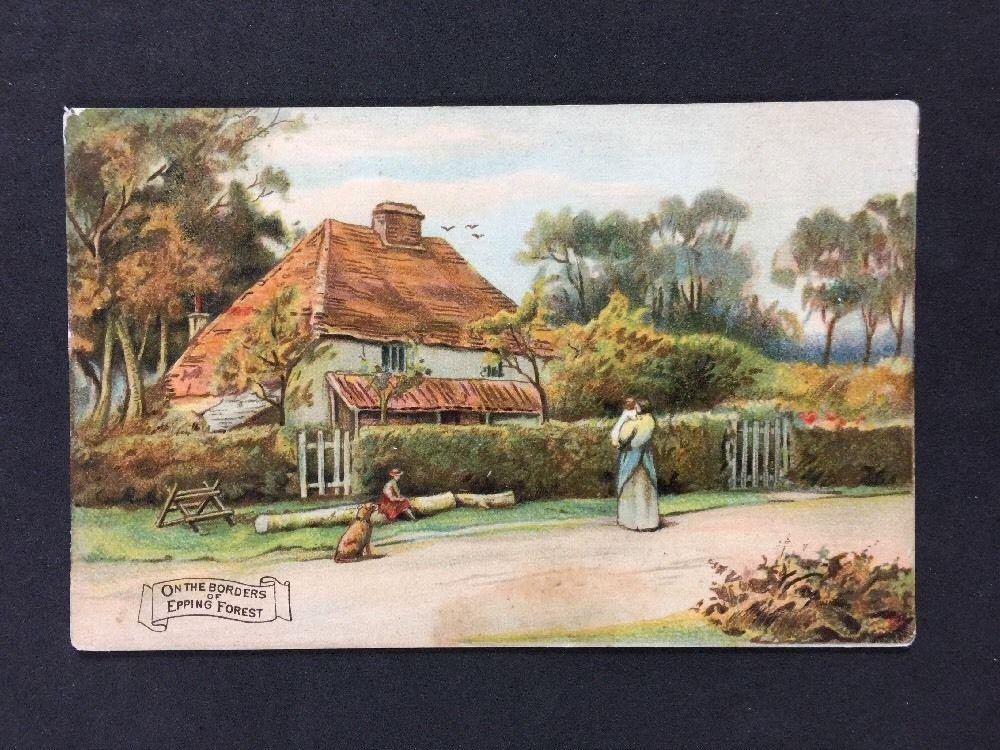 On the Borders of Epping Forest, Postcard