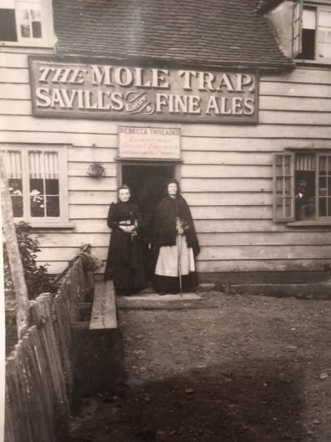 The Mole Trap