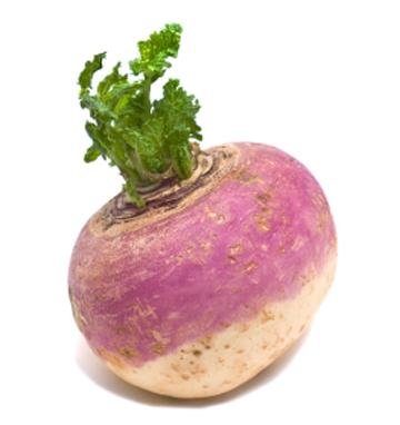Syrup of Turnips for a Cold