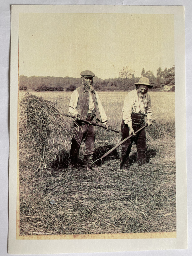 Local Farm Workers